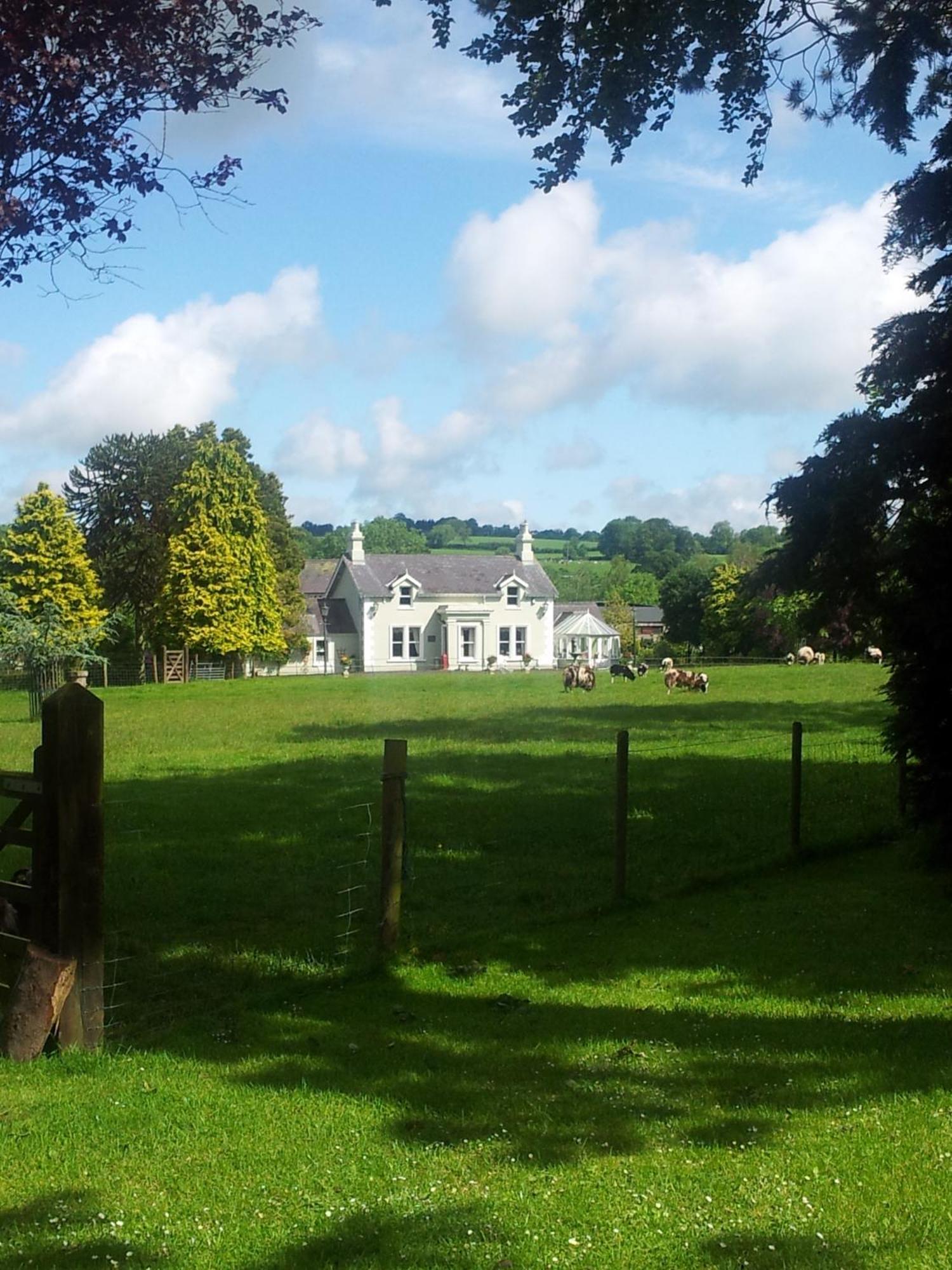 Brookhall Cottages Lisburn Exteriér fotografie